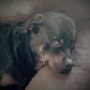 Meet your Posher, Mark